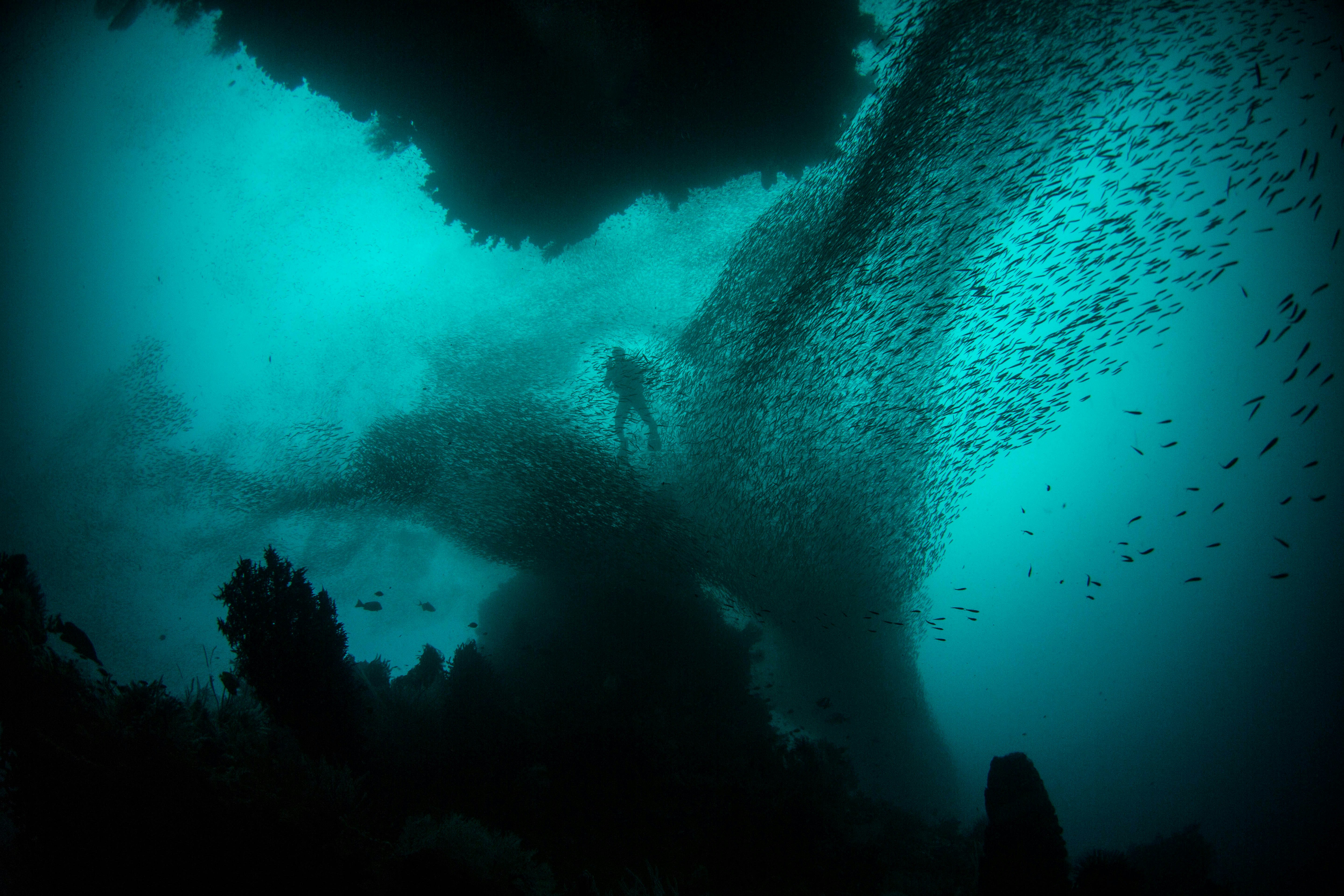 underwater and terrestrial sensor networks